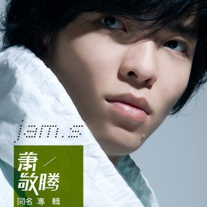 免费高清特级毛片
