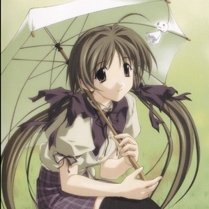 免费高清特级毛片
