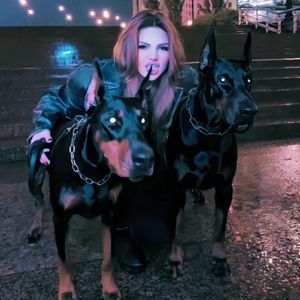 免费高清特级毛片
