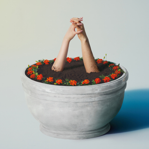 免费高清特级毛片
