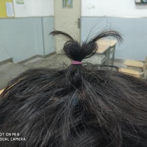 免费高清特级毛片
