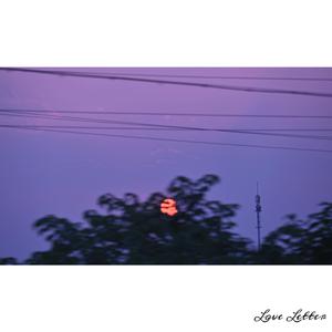 免费高清特级毛片
