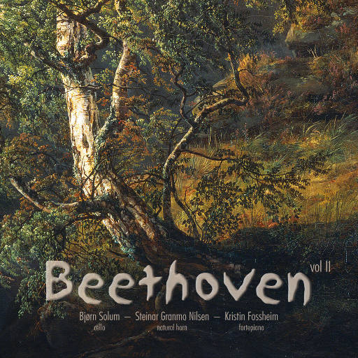 免费高清特级毛片
